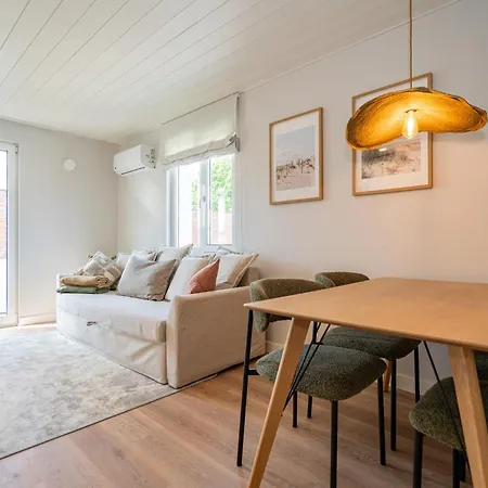 Homey Apartment
